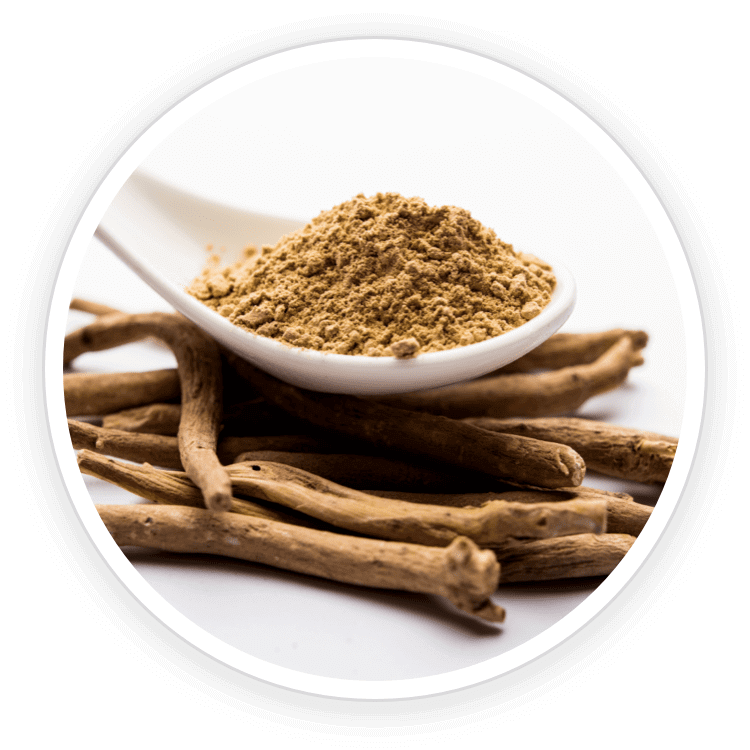 Ashwagandha-Piperine-1.png