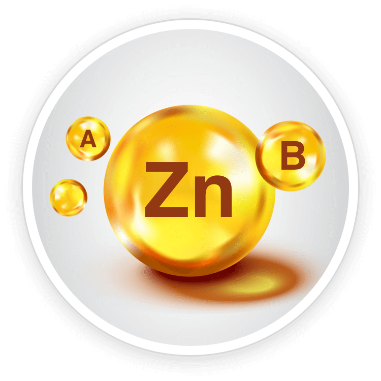 Vit.-A-Vit.-B-Zinc.png